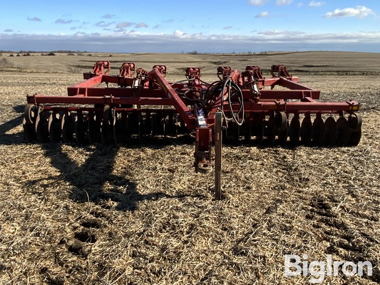 sunflower-4110-image-2