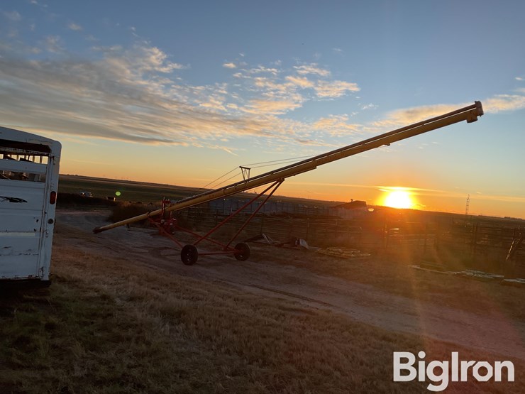 westfield-wr-70-51-transfer-auger-image-8