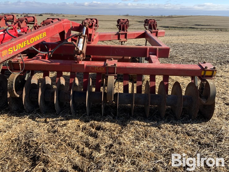 sunflower-4110-image-13