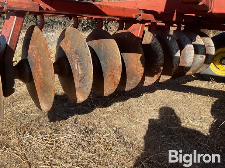 sunflower-80114-33-off-set-disk-image-20