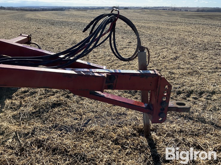 sunflower-4110-image-9