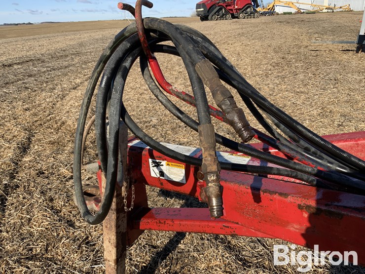 sunflower-4110-image-20