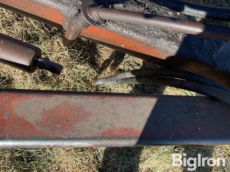 sunflower-80114-33-off-set-disk-image-12