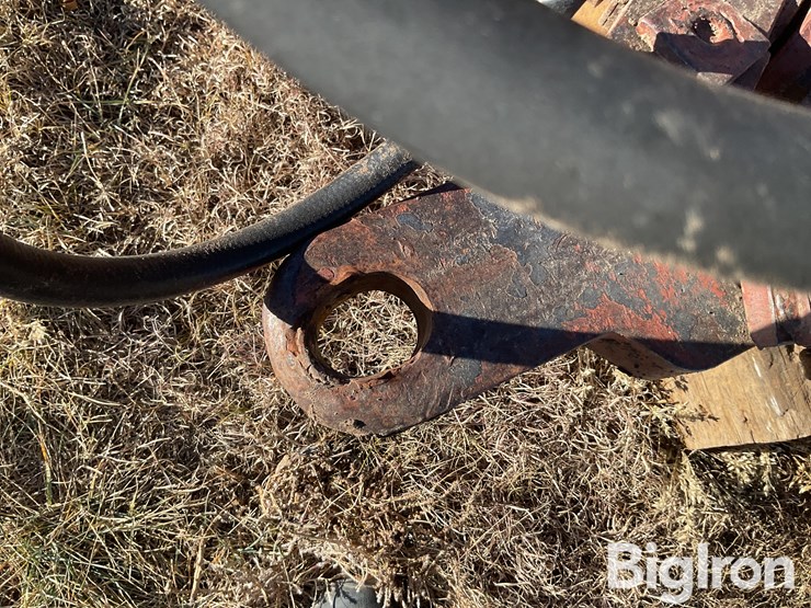 sunflower-1440-35-image-9