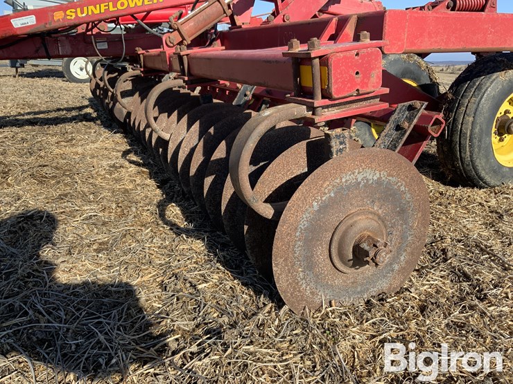 sunflower-4110-image-17