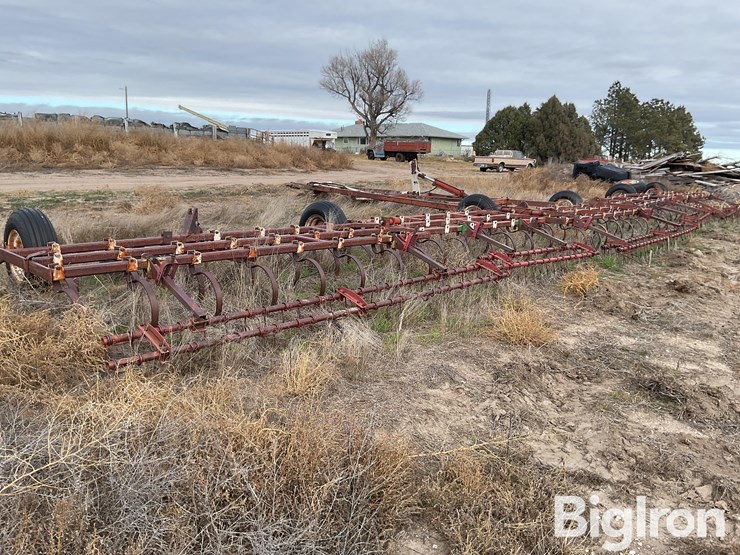 international-55-image-7