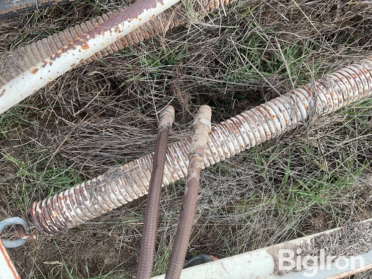 international-55-image-11