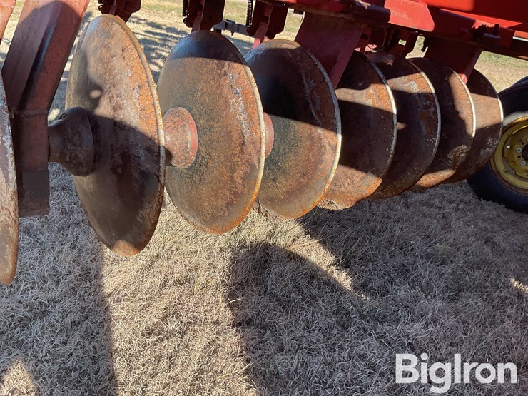 sunflower-1440-35-image-19