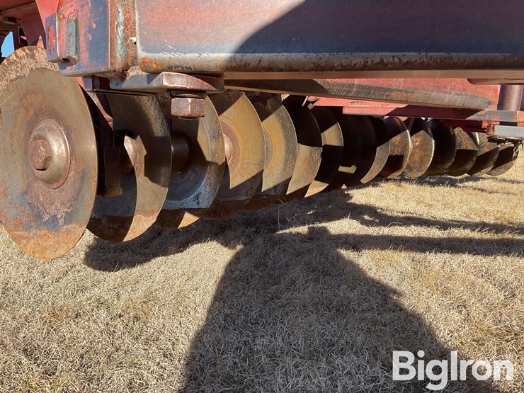 sunflower-1440-35-image-17