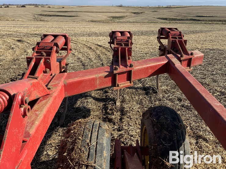 sunflower-4110-image-16