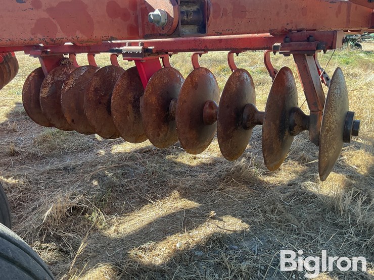 sunflower-80114-33-off-set-disk-image-16