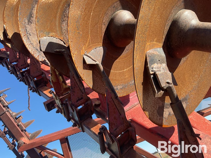 sunflower-1440-35-image-20