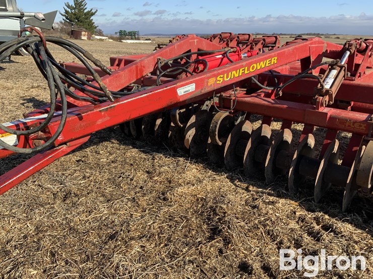 sunflower-4110-image-12