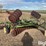 john-deere-tandem-disk-image-3