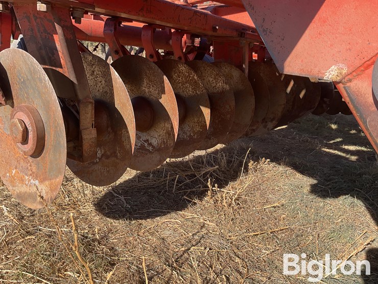 sunflower-80114-33-off-set-disk-image-18