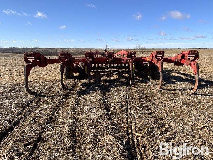 sunflower-4110-image-6