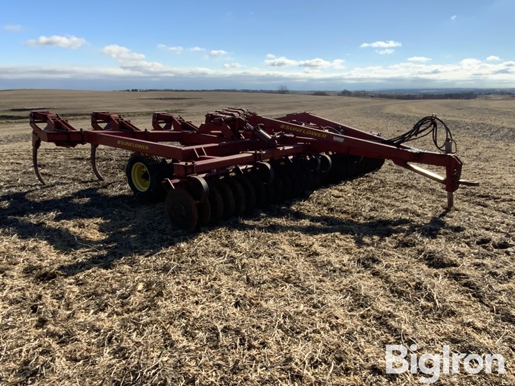 sunflower-4110-image-3