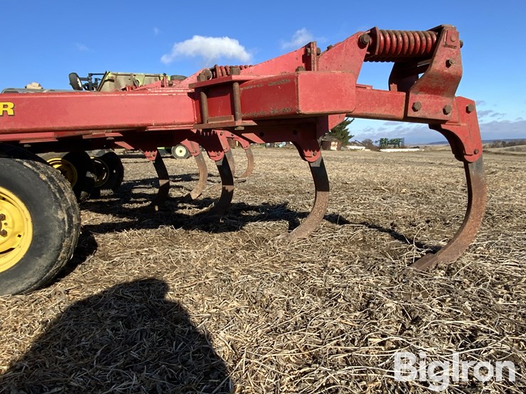 sunflower-4110-image-19