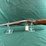 stoeger-coach-gun-20ga-shotgun-image-1