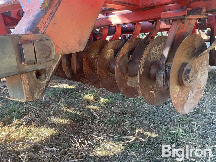 sunflower-80114-33-off-set-disk-image-14