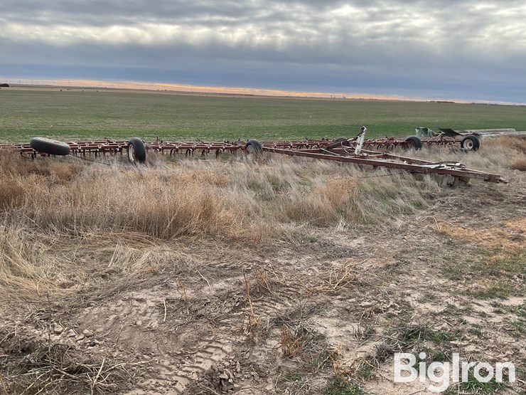 international-55-image-3