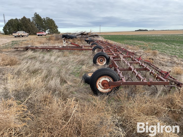 international-55-image-8