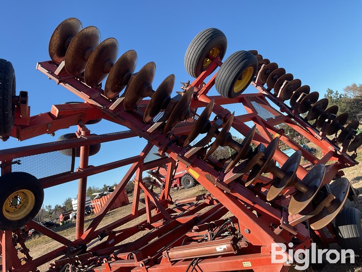 sunflower-1440-35-image-14