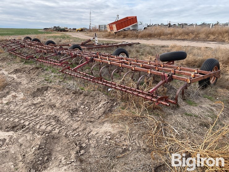 international-55-image-5