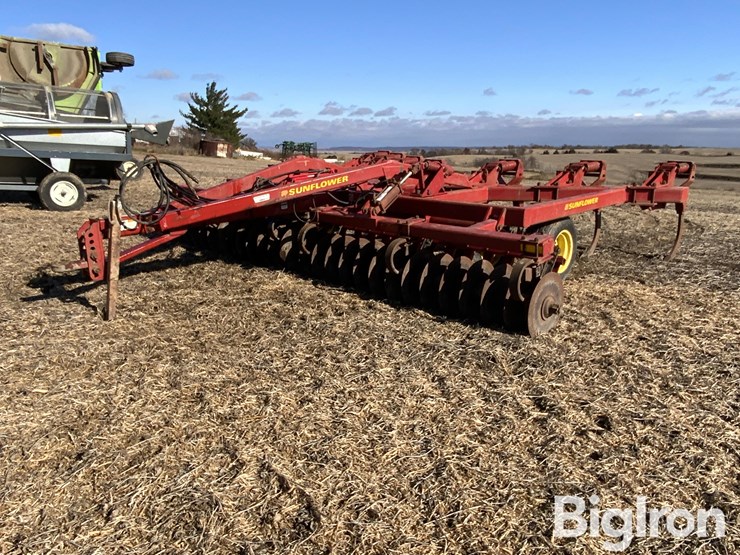 sunflower-4110-image-1