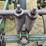 john-deere-field-cultivator-image-17