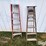 vulcan-ladder-extendable-ladder-image-9