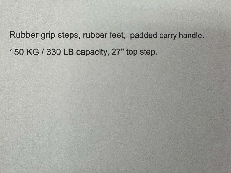 unused-wokin-3'-steel-ladder-image-3