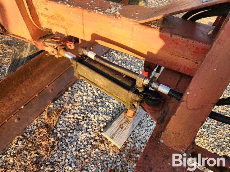 international-8-image-11