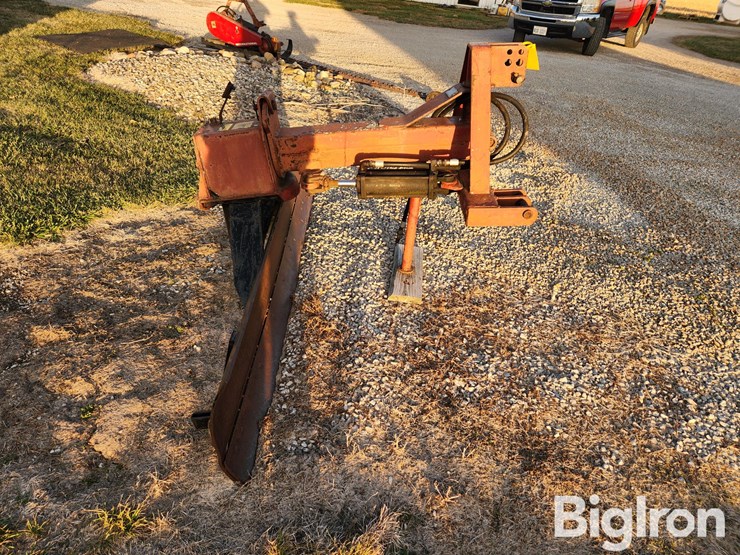 international-8-image-4