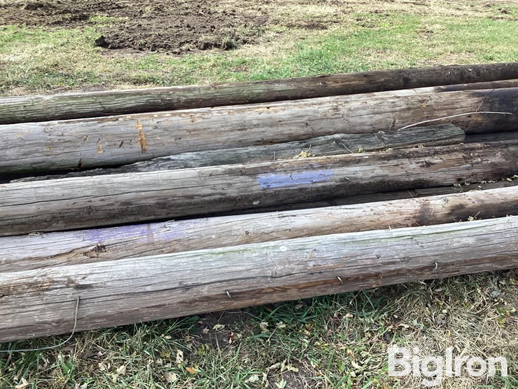 telephone-poles-image-16