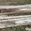 telephone-poles-image-10