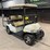 2013-ez-go-freedom-rxv-utility-cart-image-2