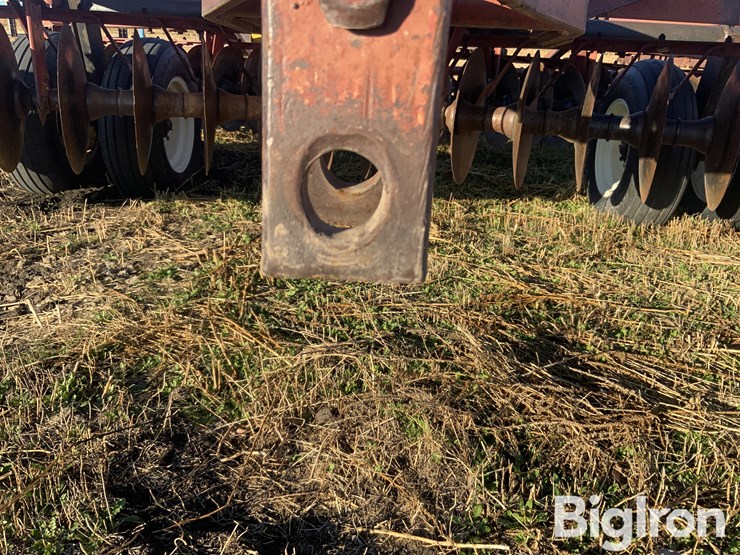 international-470-image-11