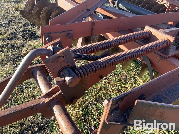 international-470-image-10