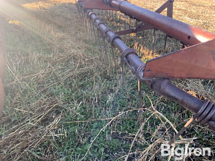 international-470-image-20