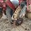 case-ih-cyclo-air-6-row-planter-image-22
