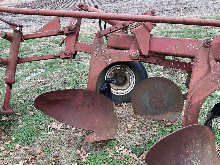 international-5-image-10