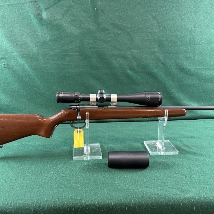 Remington 22 S, L, or LR Rifle