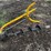 9"-pto-3-pt-post-hole-digger-image-9