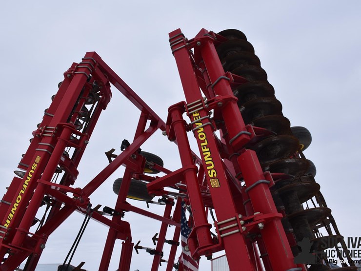 sunflower-6333-image-13