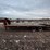 holland-formula-150-tandem-axle-w/duals-gooseneck-trailer-image-2