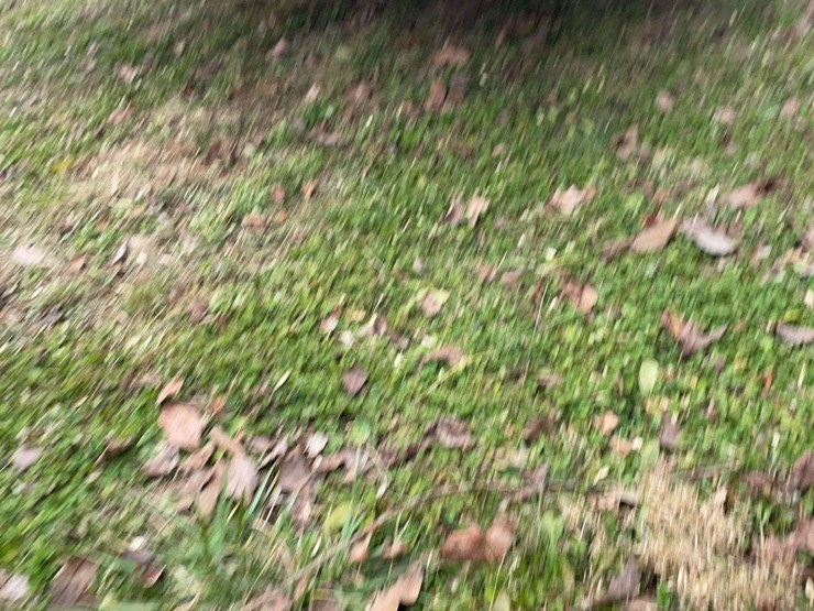 2021-diamond-c-image-14