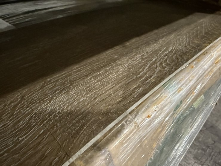 2025-case-851-image-2