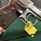 nib-walther-ppk/s-1-380acp-pistol-image-10