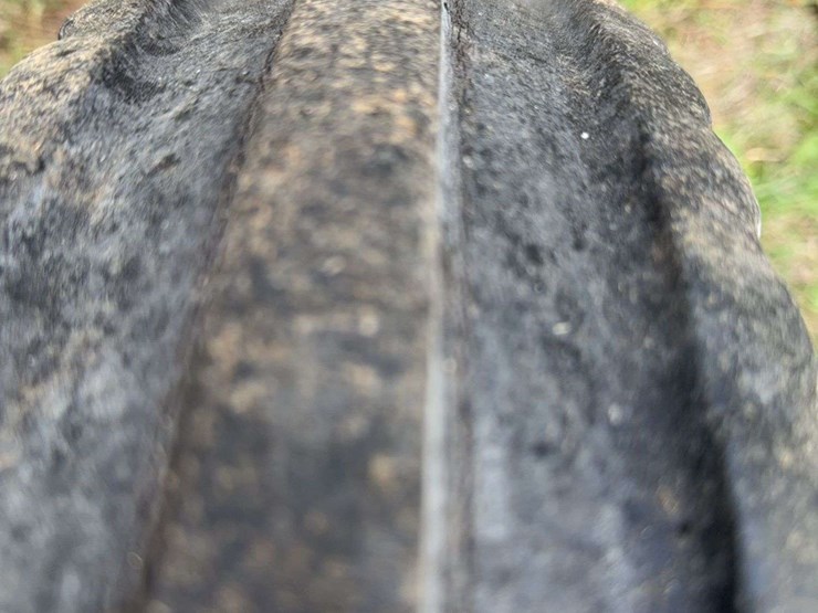 ferguson-35-image-21